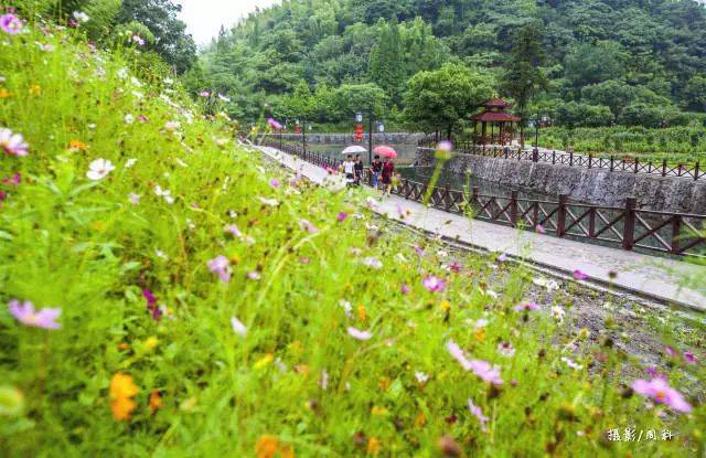 临安小伢儿乐园，陌上花开，竹溪听雨的美好旅程