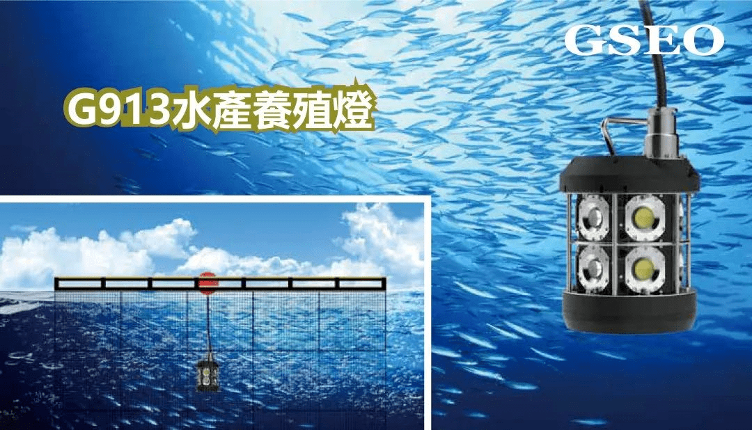 大国水产揭秘，平太荣的水产世界——从深海到餐桌的探秘之旅