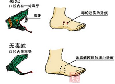 微雨花间 第3页