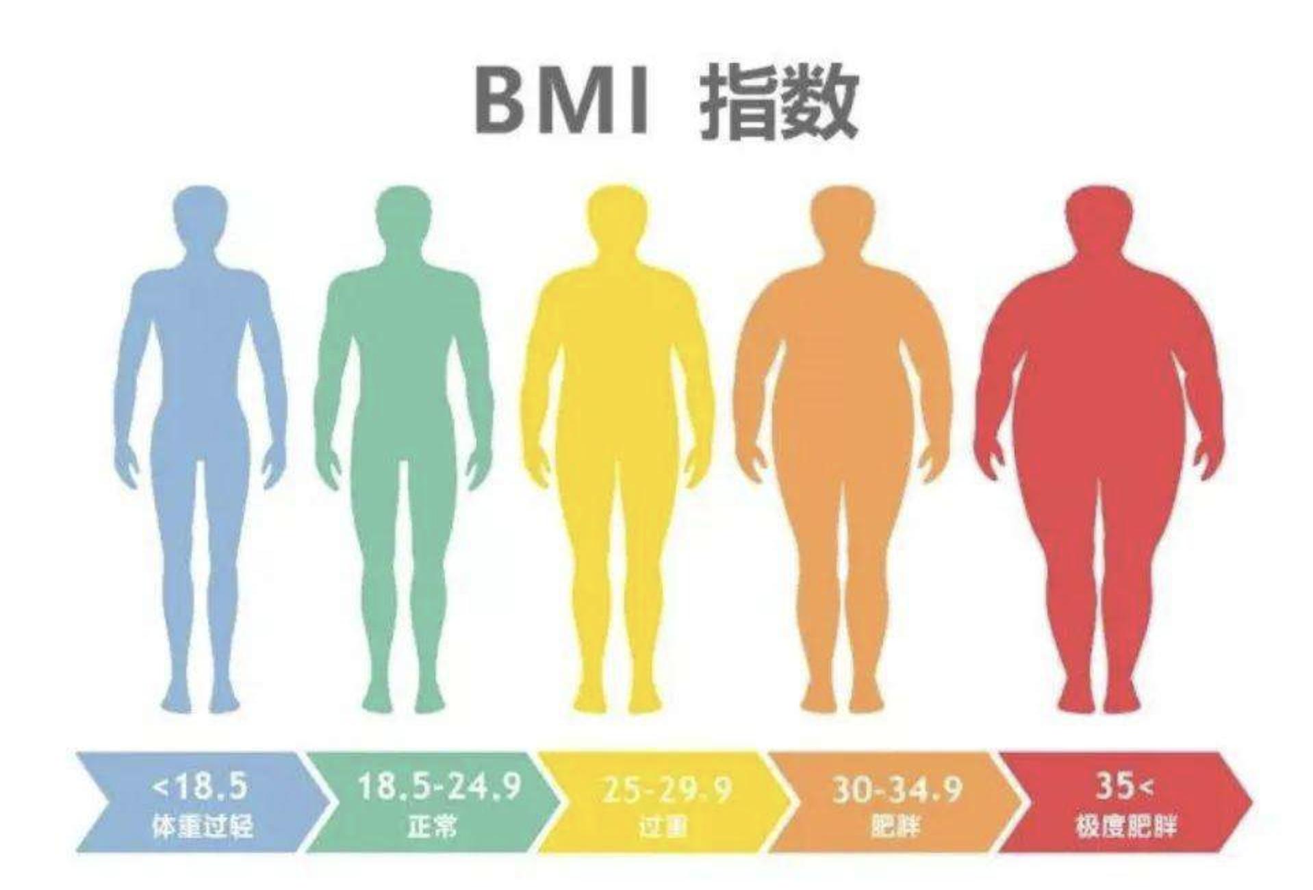 如何通过饮食调整解决体力不足问题？