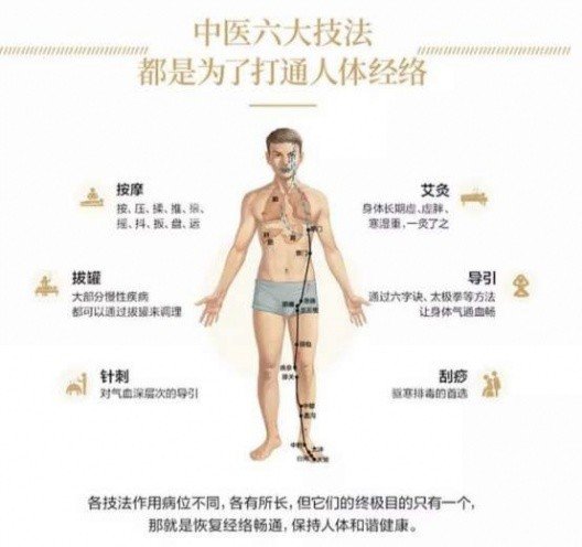 中医经络养生，疏通经络，智慧之路开启健康之门