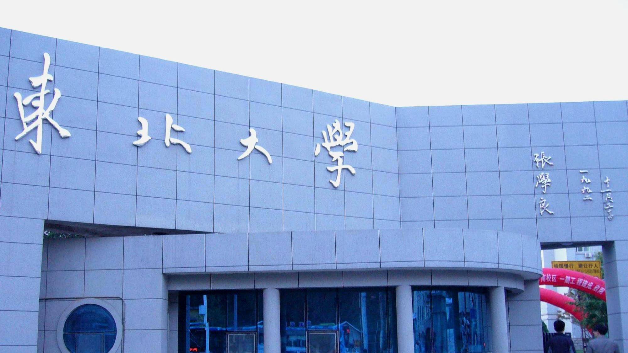 东北大学在职研究生，学术与职业发展的双重机遇探索