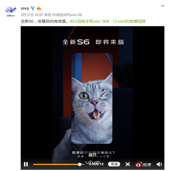 网曝多人合伙骗领养猫虐待行为，道德败坏还是法律认知缺失？