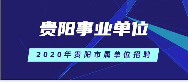 苍南2020年事业单位招聘岗位深度解析与未来展望