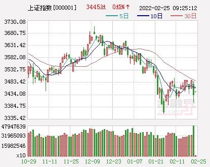 2024年12月10日 第28页