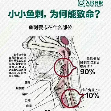 生死边缘的奇迹，鱼刺扎心下的自救与重生之路