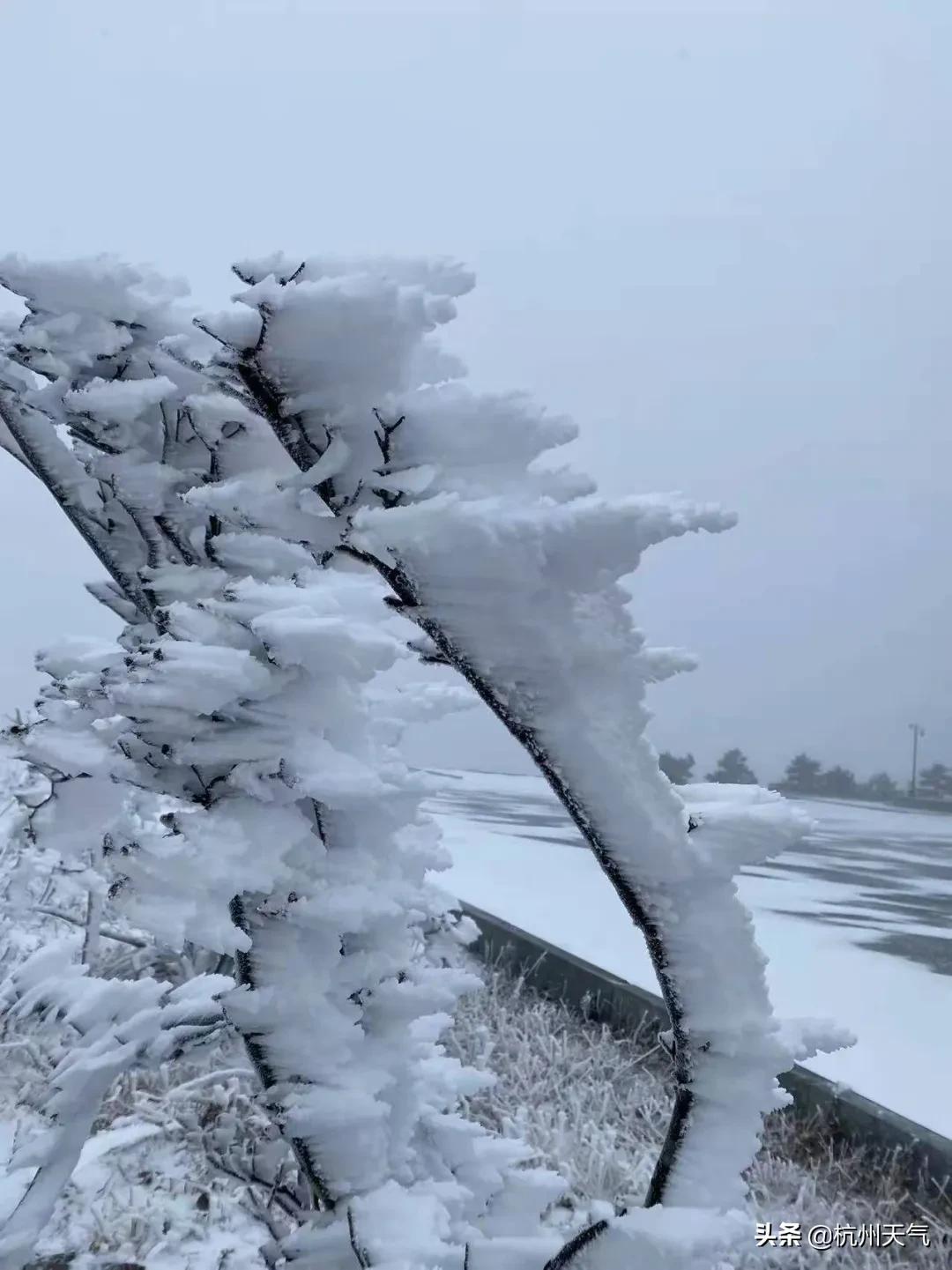 全国雪季盛宴，雪花奇幻之旅与人们的喜悦氛围