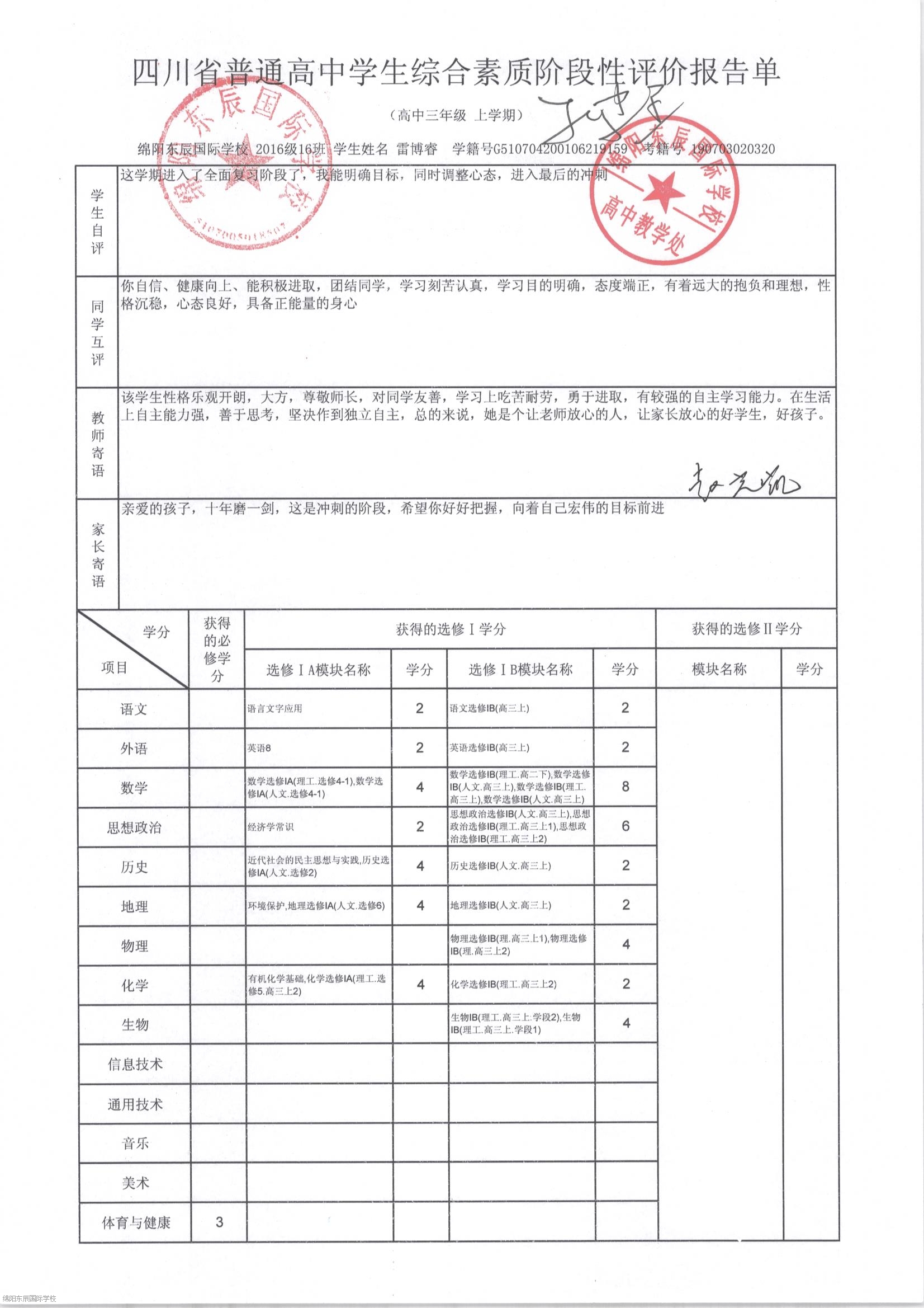 2024年12月11日 第8页