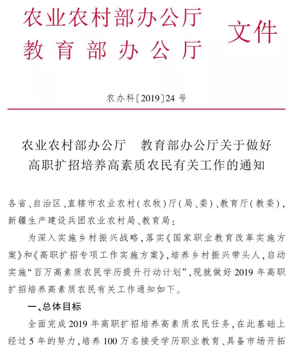 农业局考编学历背景与要求深度解析