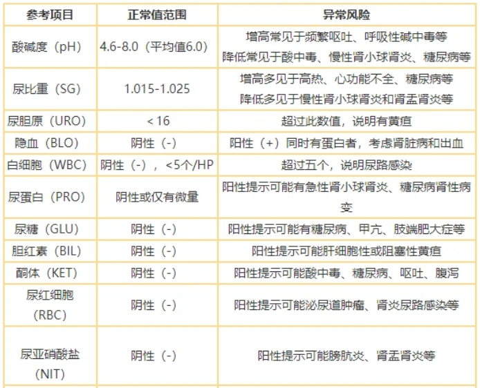 2024年12月13日 第12页