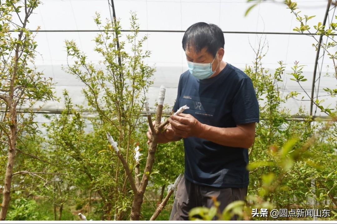 老伯买煤遭遇惊天称重问题，购煤三千斤竟少称两千多斤