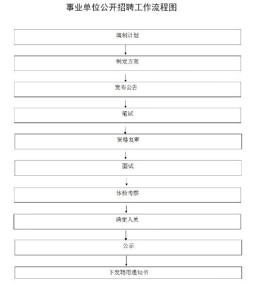 事业编考察流程，深入了解与全面评估启动阶段