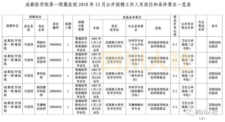 2024年12月15日 第19页