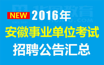 事业单位招聘公告解读与查询实用指南