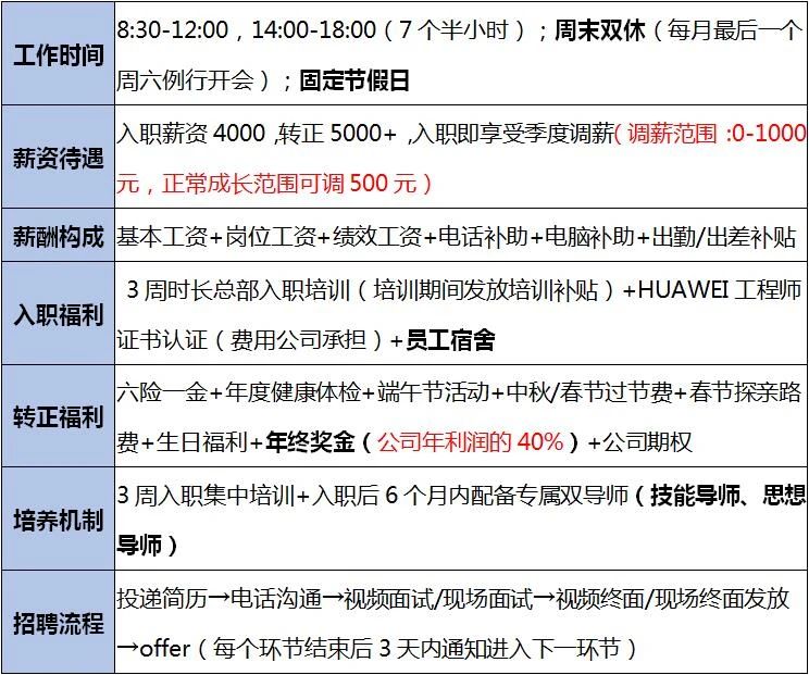 信息技术招聘标准，构建高效团队的基石