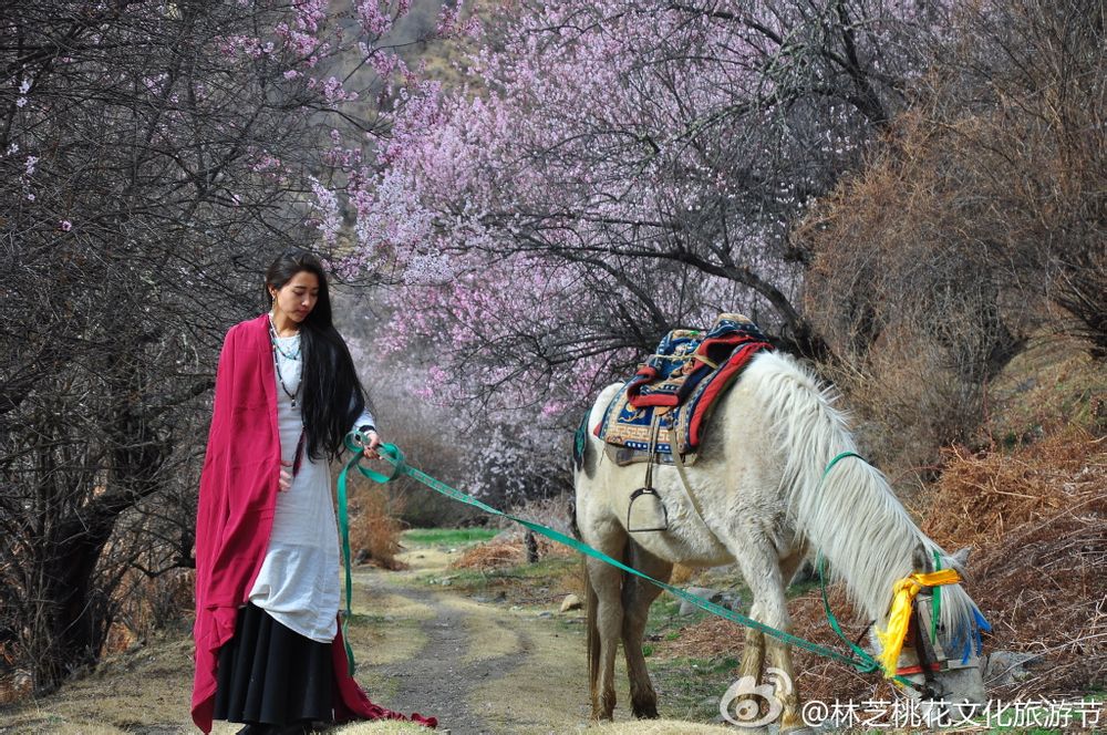 网友西藏林芝偶遇姜子牙坐骑，神秘之旅揭秘姜子牙传说