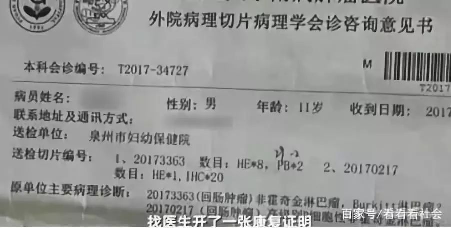 浙大教师涉嫌造假引发学生英国拒签事件，深度探究与剖析