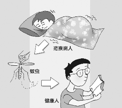 冬眠状态下的人类，疾病治愈的新可能性探究