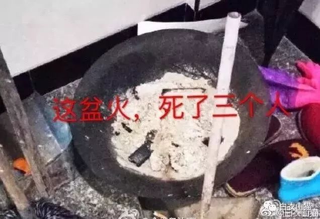 男子含泪烹饪财神鱼，死亡与食欲的交织故事