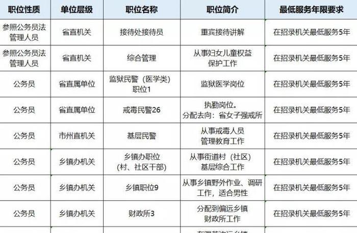 新时代公务员信息技术岗位职责与挑战解析