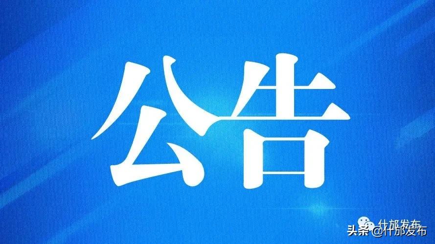 2024年12月22日 第39页