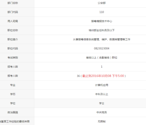 公务员信息技术岗位职责与角色全面解析