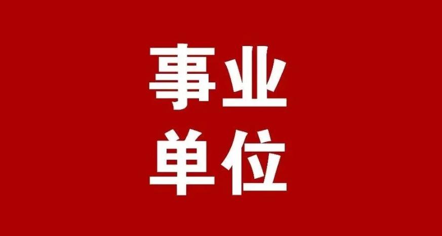 事业单位招录公告详解，内容、报名流程与注意事项全解析