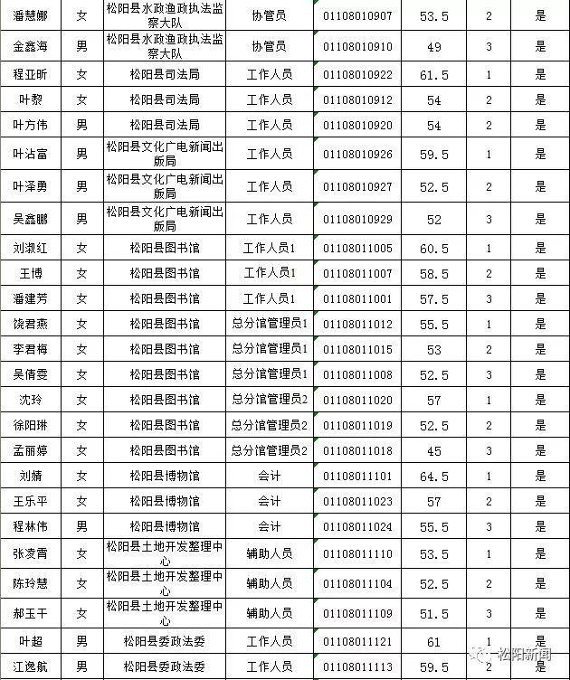 事业单位招聘公示名单的重要性及其深远影响分析