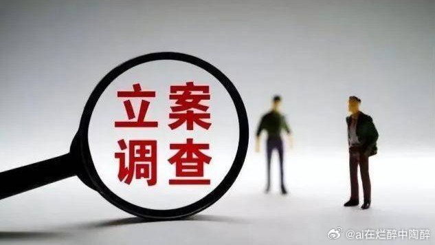 龙头企业董事长被立案调查，真相与影响探究，市值近千亿的震荡