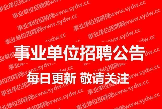 事业单位招聘公告详解，流程、内容及其影响