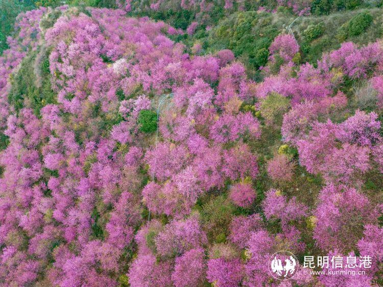 荒山变宝地，健身器材安装助力社区活力焕发