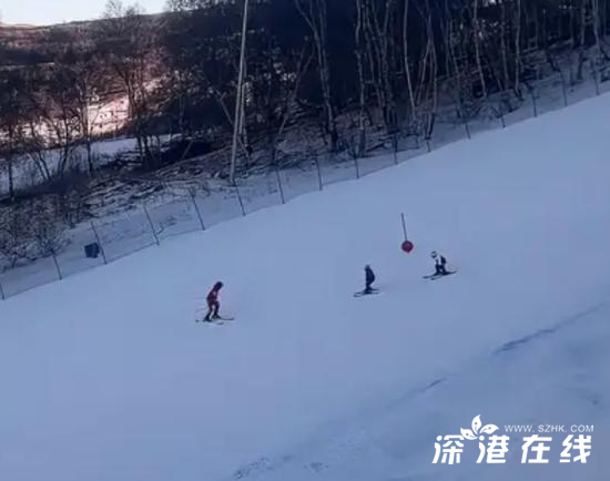 中国男游客在日本滑雪场遇难事件回顾与反思