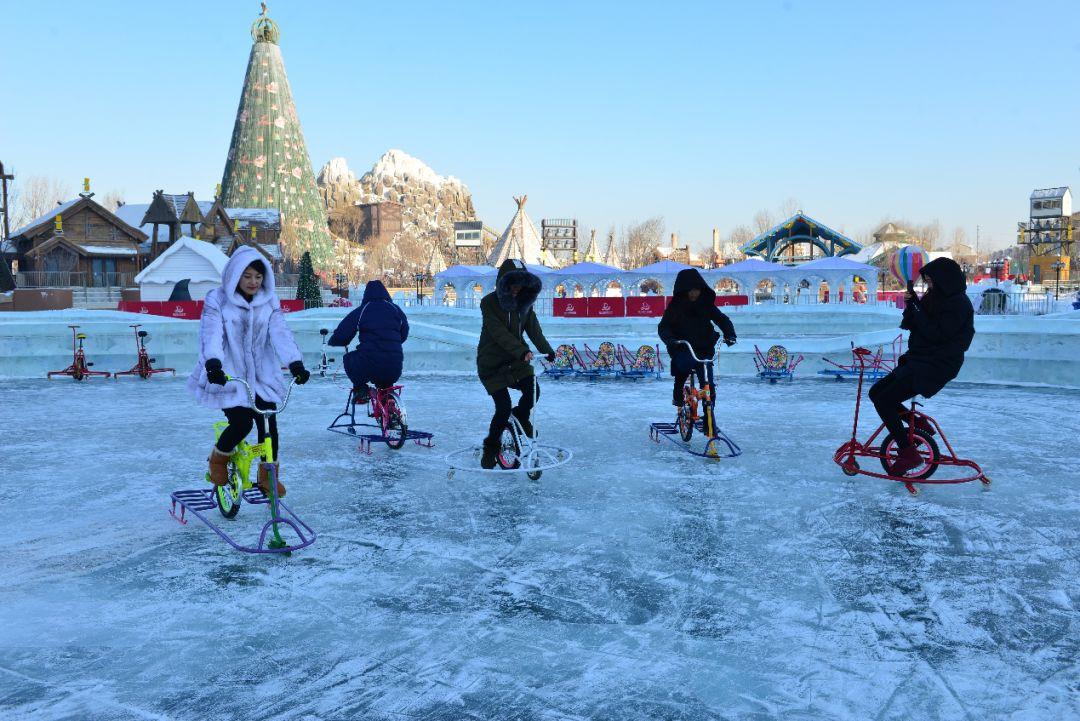 哈尔滨冰雪大世界管理服务遭遇吐槽，深度反思与探究原因