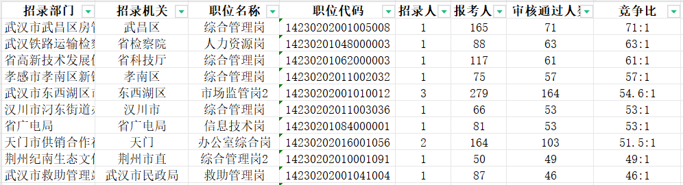 湖北省考公务员职位表深度解析与解读