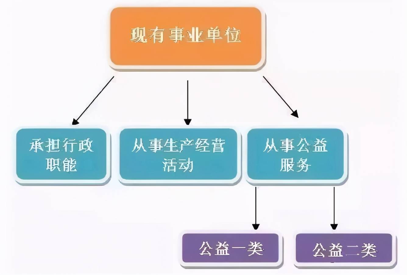 事业单位财务岗的分类与重要性解析