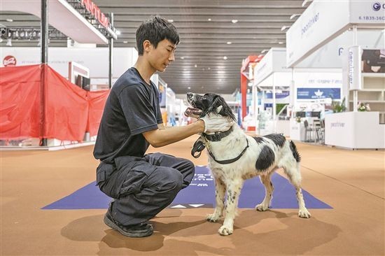 警犬专注瞬间，特警车上的一瞥眼神