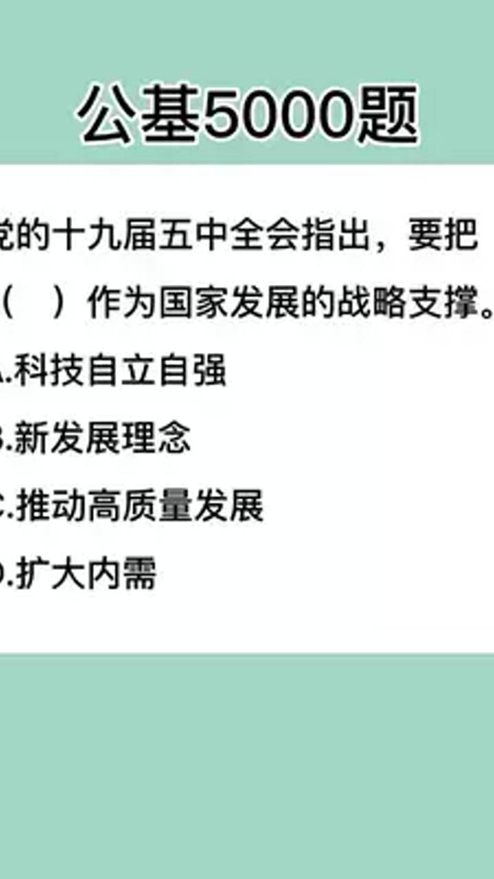 2024年12月30日 第20页