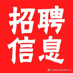 咸宁教师招聘网，引领教育人才汇聚的优质平台