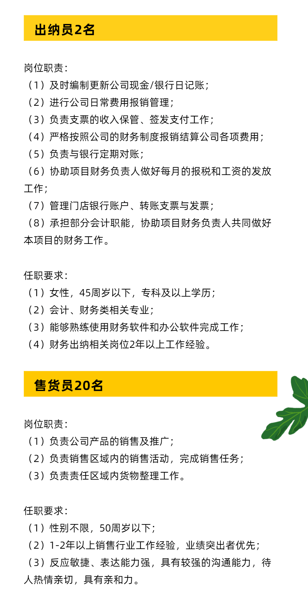 财务招聘信息模板，高效招聘流程的核心要素解析