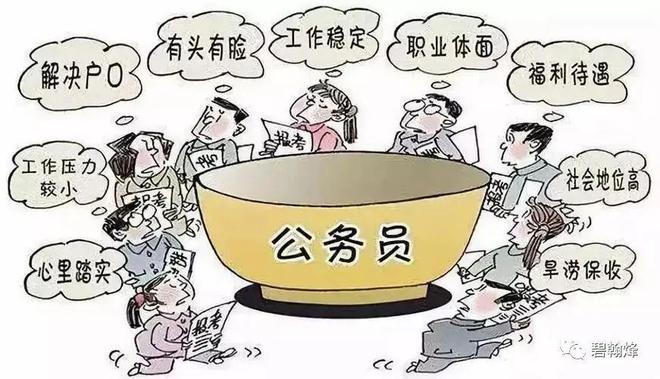 未来公务员面临的困境与挑战，深度探讨与反思