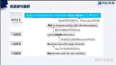 深度探讨，如何选择优质的考公网课进行全面解析