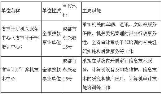 审计部门事业编，职责、挑战及成长路径全解析